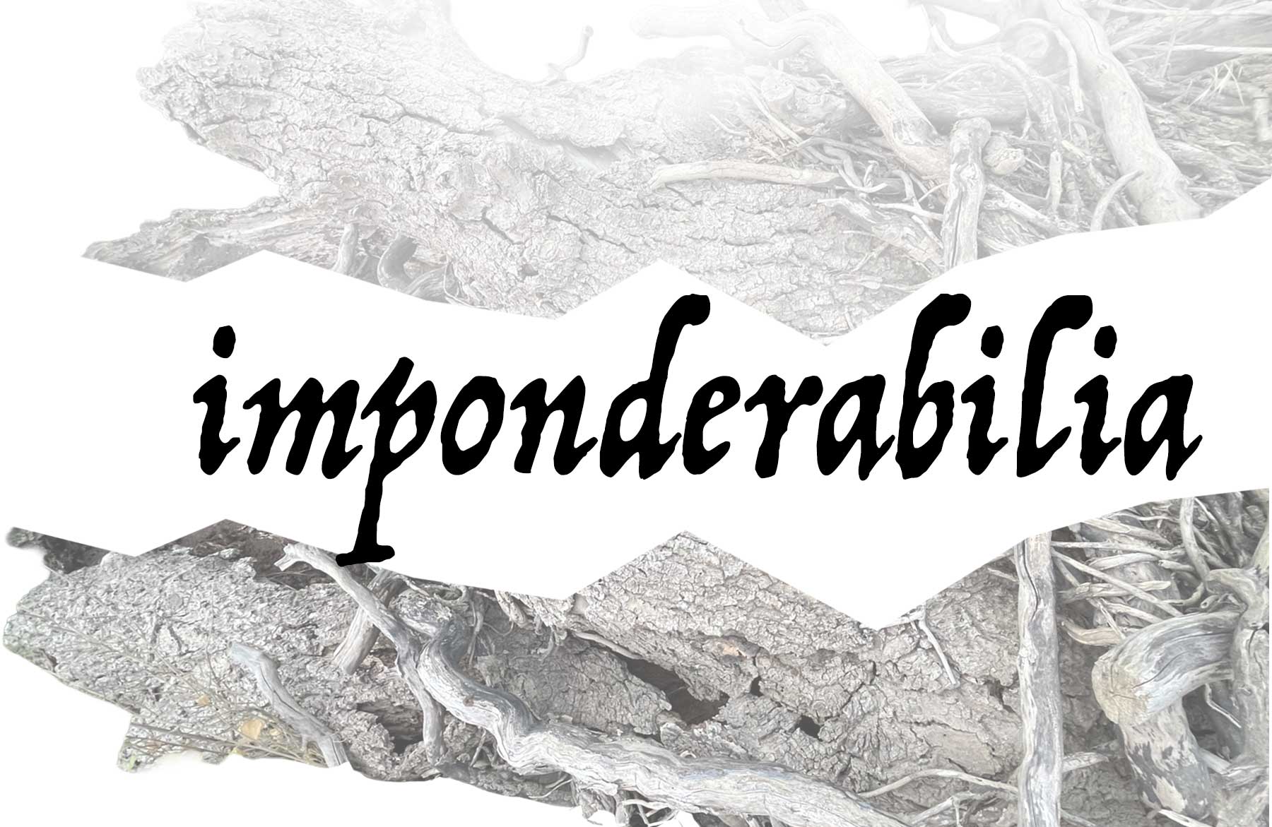 imponderabilia